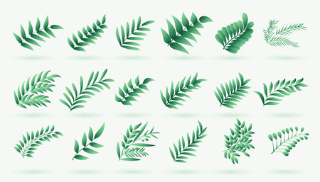 set of tropical greenery leaves design vectorのイラスト素材