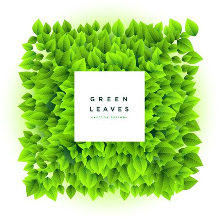lovely green leaves bunch frame backgroundのイラスト素材