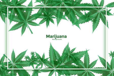 marijuana and cannabis green leaves background designのイラスト素材