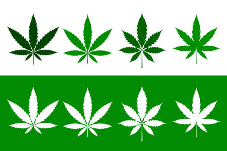 cannabis marijuana weed leaves set in flat styleのイラスト素材