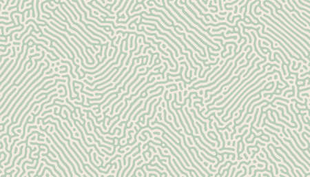 organic turing pattern irregular lines background design