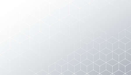 white background with hexagonal line pattern design