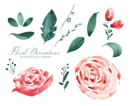 rose watercolor flower decoration elements collectionのイラスト素材