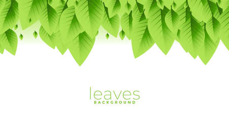 bunch of green leaves background designのイラスト素材