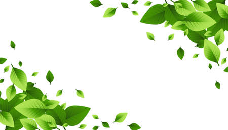green leaves scattered background designのイラスト素材