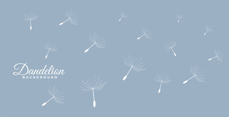 flying dandelion flower seeds backgroundのイラスト素材