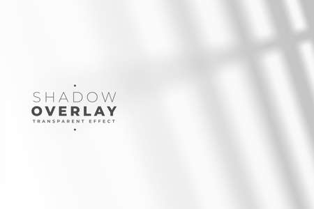 transparent shadow effect of windowpaneのイラスト素材