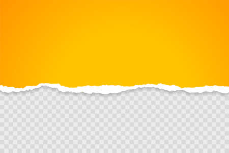 yellow sheet of torn paper on transparent backgroundのイラスト素材