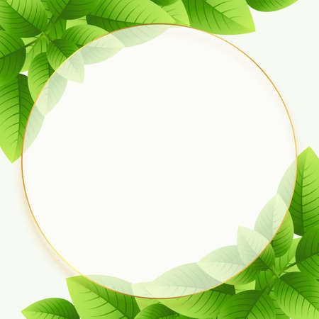 green eco leaves background with circular frameのイラスト素材
