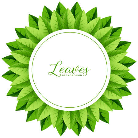 green leaves frame background with text spaceのイラスト素材