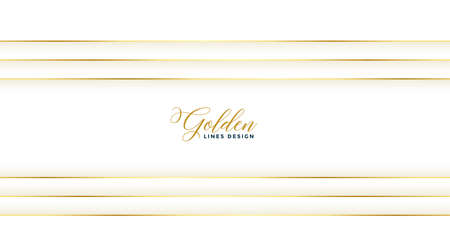 horizontal golden lines nice white backgroundのイラスト素材