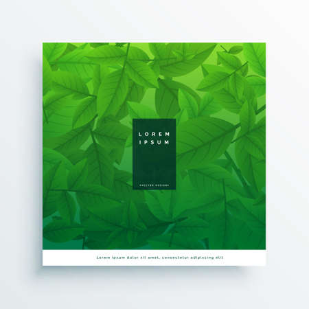 green leaves card design backgroundのイラスト素材