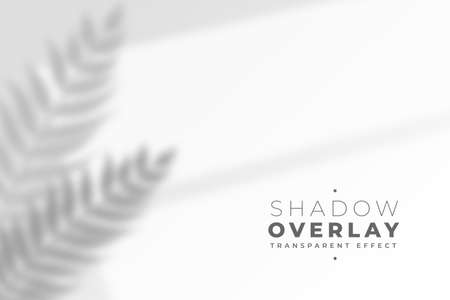 defocused leaves shadow on white wall effect backgroundのイラスト素材