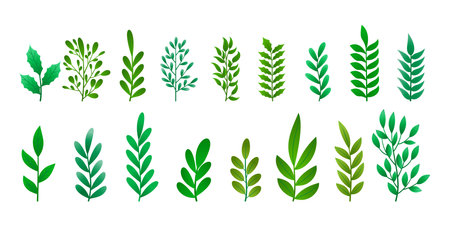 set of realistic pine leaves for christmas designのイラスト素材