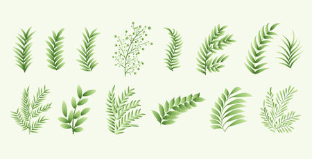 collection of botanical natural leaves element white background design vectorのイラスト素材