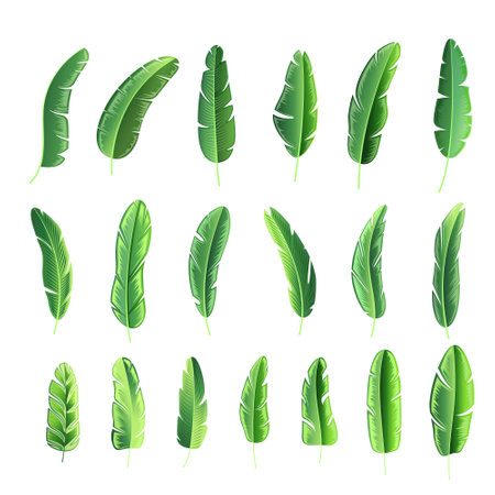 set of botanical natural foliage element background design vectorのイラスト素材