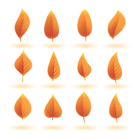 pack of herbal autumn leaves background design vectorのイラスト素材