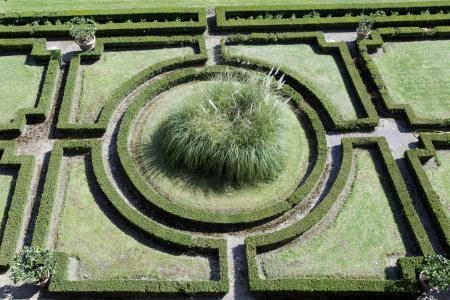 beautiful green geometric garden の写真素材