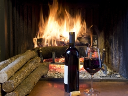 celebrate with a glass of wine, a bottle, in front of a fireplaceの写真素材