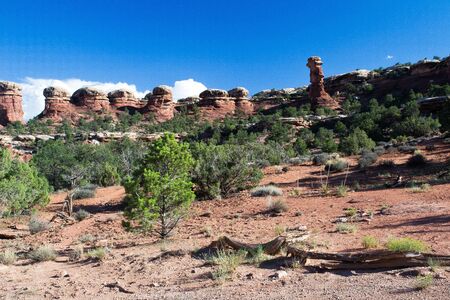 canyonlands,utha,USA-august 8,2012 inside the national parck of the needlesの写真素材