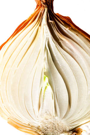 golden onion cut in halfの写真素材