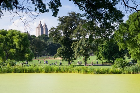 New York City, USA - August 3, 2013 view of some skyscrapers from one of the many lakes found in central park in new york people come here to relax and practice outdoor sportsのeditorial素材