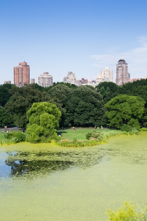 New York City, USA - August 3, 2013 view of some skyscrapers from one of the many lakes found in central park in new york people come here to relax and practice outdoor sportsのeditorial素材