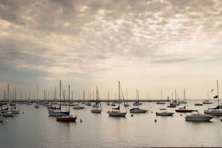 boats are moored in chicago pier at sunsetのeditorial素材