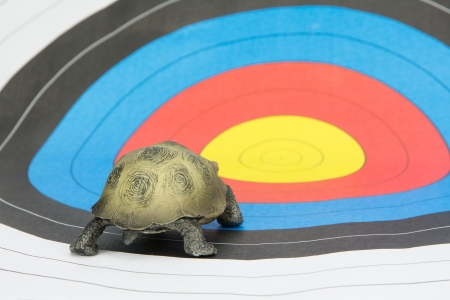 turtle view from above on target backgroundの写真素材