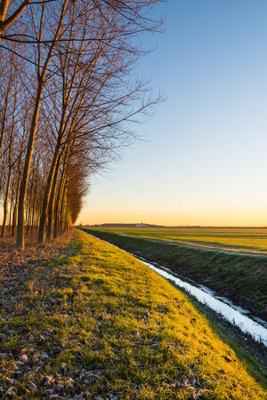 Sunset in the italy countryside during a winter day.の写真素材