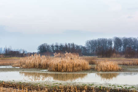 Sunset over a lake in the italy countryside during a winter dayの写真素材
