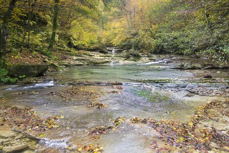 A river flows peacefully among yellow trees in the forest during autumnの写真素材