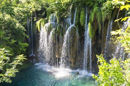 waterfall anf tree in the national park of plitvice lakes in croatia on a sunny dayの写真素材