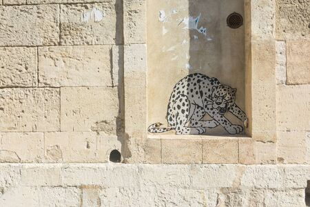 Drawing of a leopard on the walls of Arles during a sunny dayの写真素材