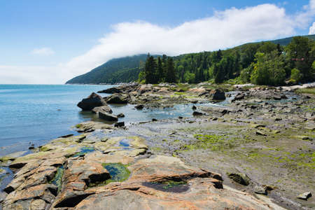 Walking through the nature near the town of Port au Persil during a sunny day in Canada.の写真素材