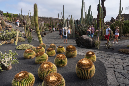 Lanzarote, Spain - August 7,2018: people strolling inside the famous cactus garden in Lanzarote during a cloudy dayのeditorial素材