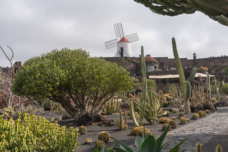 Lanzarote, Spain - August 7,2018: strolling inside the famous cactus garden in Lanzarote during a cloudy dayのeditorial素材