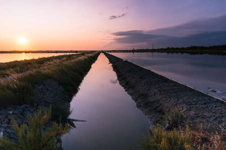 Walk through the famous saltern of Cervia-Italy during the eveningの写真素材