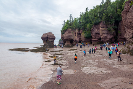 Bay of Fundy, Canada - August 12, 2015:People walk on the bottom of the Bay of Fundy as the tide is out on an overcast dayのeditorial素材