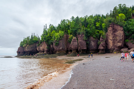 Bay of Fundy, Canada - August 12, 2015:People walk on the bottom of the Bay of Fundy as the tide is out on an overcast dayのeditorial素材
