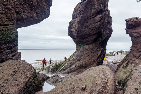 Bay of Fundy, Canada - August 12, 2015:People walk on the bottom of the Bay of Fundy as the tide is out on an overcast dayのeditorial素材