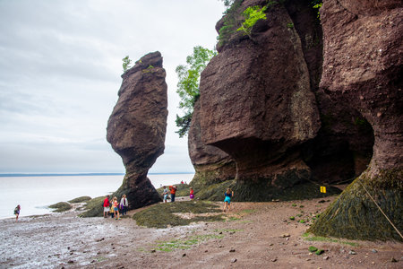 Bay of Fundy, Canada - August 12, 2015:People walk on the bottom of the Bay of Fundy as the tide is out on an overcast dayのeditorial素材