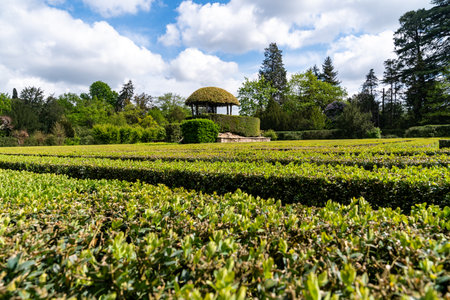 Valsanzibio,Italy-April 15, 2023:labyrinth inside the monumental garden of Valsanzibio, one of the most beautiful gardens in Italy during a sunny dayのeditorial素材