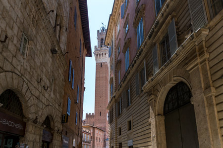 Siena,Italy-August 10, 2020:the famous Piazza del Campo and the Torre del Mangia during a sunny dayのeditorial素材