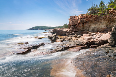 Walking through the forest and coast of Acadia national park in Maine on a sunny dayの写真素材