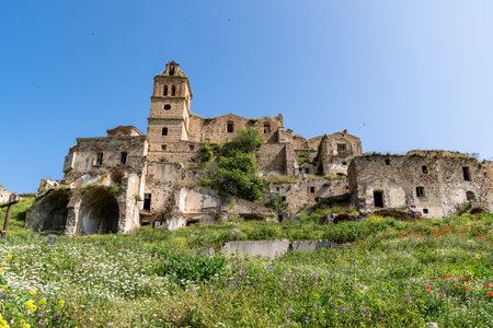 Craco, Italy-April 25, 2025:A beautiful flower meadow surrounds the ruins of Craco, a ghost town on a sunny day.のeditorial素材