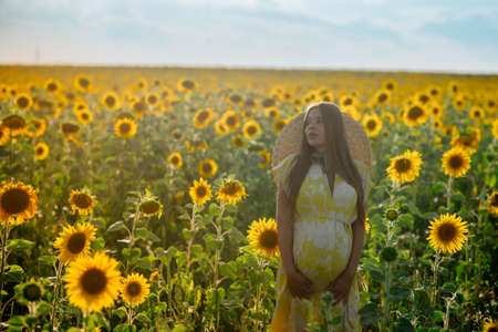 Beautiful caucasian pregnant woman walking in the summer at sunset in a field of blooming sunflowerの写真素材