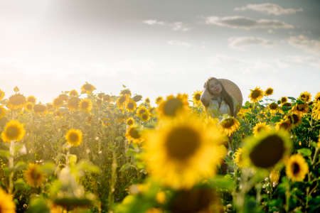 Beautiful caucasian pregnant woman walking in the summer at sunset in a field of blooming sunflowerの写真素材