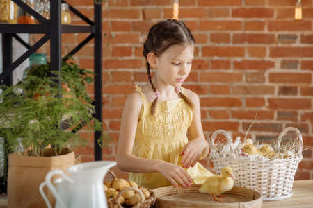 A cute little girl plays with her pets: ducklings and chickens on the festive table, getting ready...