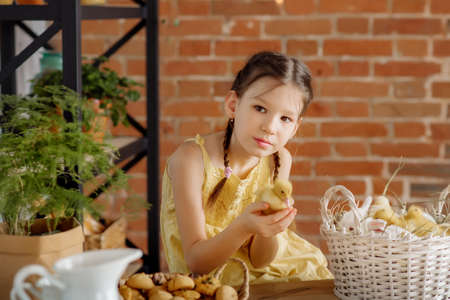 A cute little girl plays with her pets: ducklings and chickens on the festive table, getting ready...